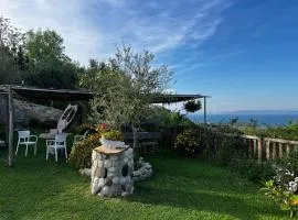 Hotel Restorant Olti