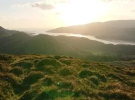 Abergwynant Farm Glamping & Apartments