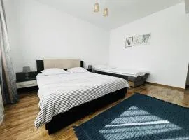 DAS Home-Vedere la Muntii Bucegi parcare gratuita