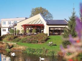 L'Hôtel des Bords de L'ill, hotel en Erstein