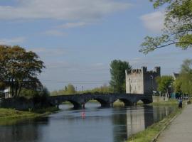 Private double room in Athy., homestay in Athy