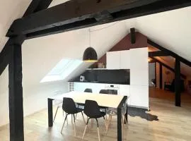 Appartement spacieux et lumineux proche du centre historique