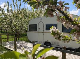 Home Shanti, sole tra i ciliegi, camping de luxo em Crespellano