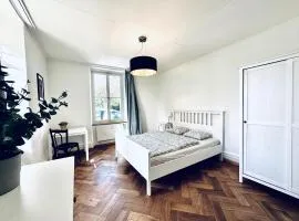 Business Apartment in Derendingen