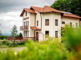 Pensiunea Rozelor Stațiunea Climaterică Sâmbăta