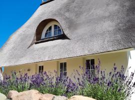 Ferdinand - Ferienhaus mit Kamin, Sauna und Meerblick, hotel v destinaci Pepelow