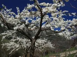 Hotel Rural Abejaruco