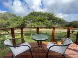 Jade Mountain Cottage 玉山小屋、ホワイトリバーのタイニーハウス