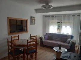 Apartamento Plano Royo 2º