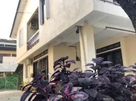 Little Cozy Homestay