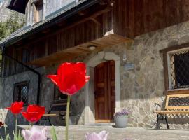 4 Elements Resort Bled, hotel com estacionamento em Bohinjska Bela