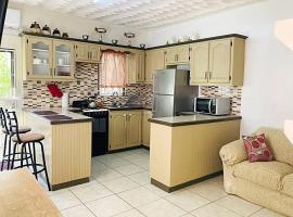 1-bedroom suburban apartment with free parking, готель у місті Кінгстаун