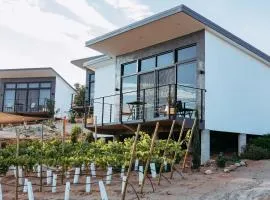 Villa Loar, Valle de Guadalupe