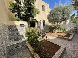 Mini villa duplex