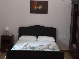 Vintage house