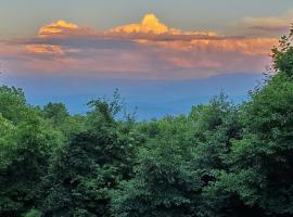 Angel Eyes View, hotel with parking in Sevierville