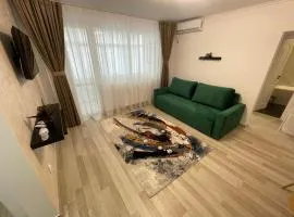 Apartament Central