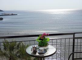 Svetlana & Michalis Oasis Hotel, hotel en Agia Marina de Egina