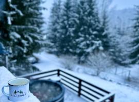 Hill House SD, hotel in Topliţa