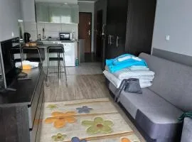 Apartament Bunsha Kraków
