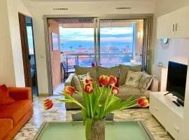2 room flat with sea view, private parking, swimming pool, and AC