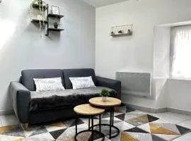 Charmant Duplex en Centre-ville Proche du Puy-du-fouu