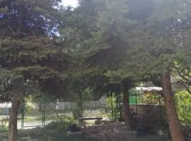 Cozy apartment in Vračar +garden