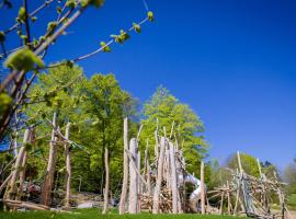 Ferienpark Geyersberg, курортний готель у місті Фрайунґ