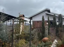 Tamara's House