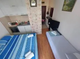 Apartman Petar Banja Koviljača