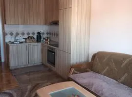 Apartman Svjetlana