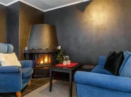 Pet Friendly Apartment In Hemsedal