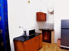 Sunu Sal Apartment, apartment in Kololi