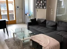 Maison de ville à 3 kilometre du centre de cognac , jacuzzi privée et disponible sur place