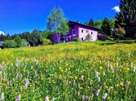Ferienwohnung für 2 Personen ca 40 qm in Neureichenau, Bayern Bayerischer Wald, hotel in Neureichenau