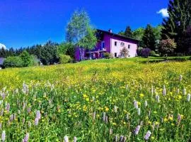 Ferienwohnung für 2 Personen ca 40 m in Neureichenau, Bayerischer Wald