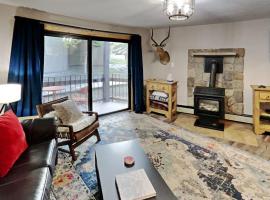 Stylish 2BR Home Near Skiing with Hot Tub Access, hotel in Breckenridge
