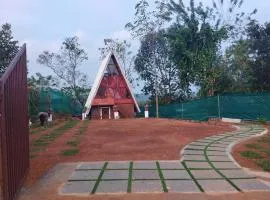 Rain dreams resorts
