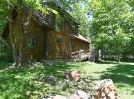 Lazy Bear Retreat - Wifi, Pet Friendly, Grill, Fire Pit, Fireplace, Deck, Golf, Hiking