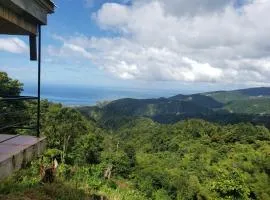 Lovers View