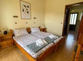 Stay Corfu Studios