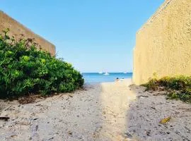 Les flamants Roses la Capte Clim 4pers 100m plage