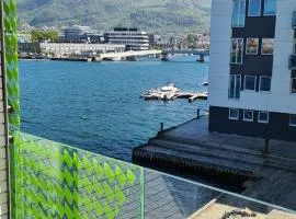 Bergen city apartment