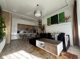 Cozy apartment