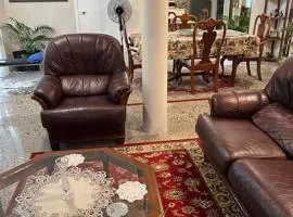 The singing frogs studio