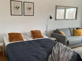 2BR big Apartment A8, free parking on the street