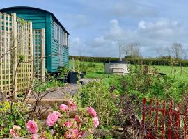 Bluebell Shepherds Hut Angelsey with Hot Tub, hotel in Llanfairpwllgwyngyll