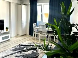 Rose Residence 4 Elegant Apartment in Pipera with Underground Parking & Self Check in