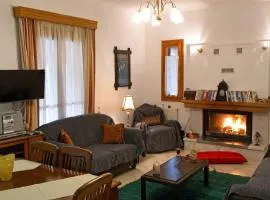 Forest Cosy House - Lagkadia Amazing View