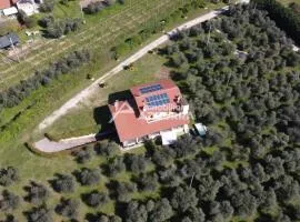 Villa i Roccoli - Immobiliare Azzurra